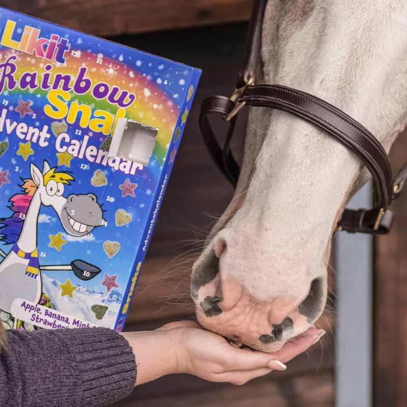 Advent Calendar Horse Treats Rainbow Snaks 200g