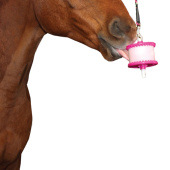 Holder Level 1 Pink/Glitter Holder Level 1 Pink/Glitter