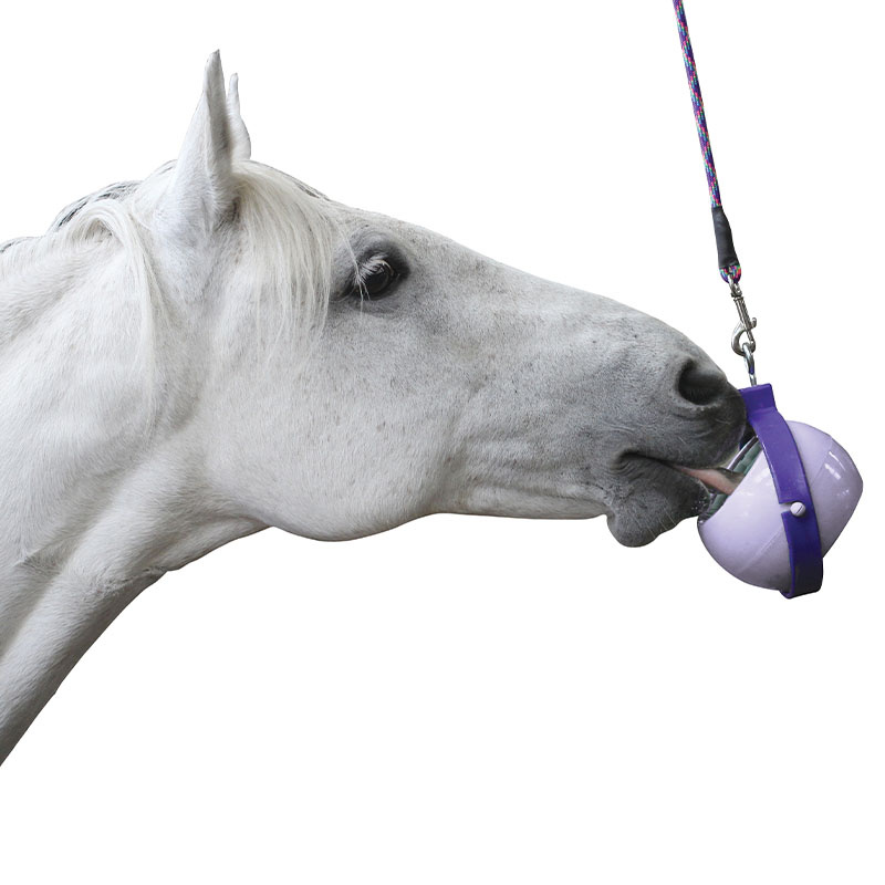 Lick Stone Little Mint Refill without Holes 250g