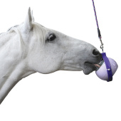 Lick Stone Little Mint Refill without Holes 250g Lick Stone Little Mint Refill without Holes 250g