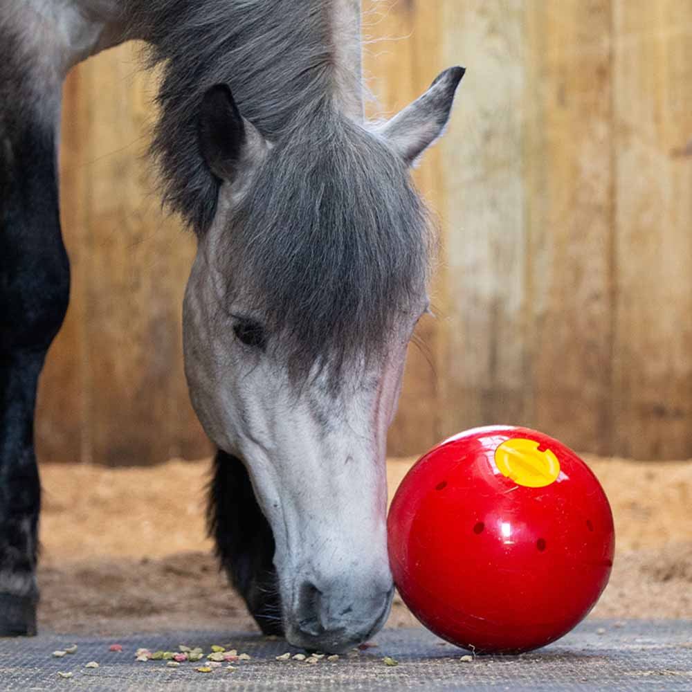 Feed Ball Snak-a-Ball Level 2 Red