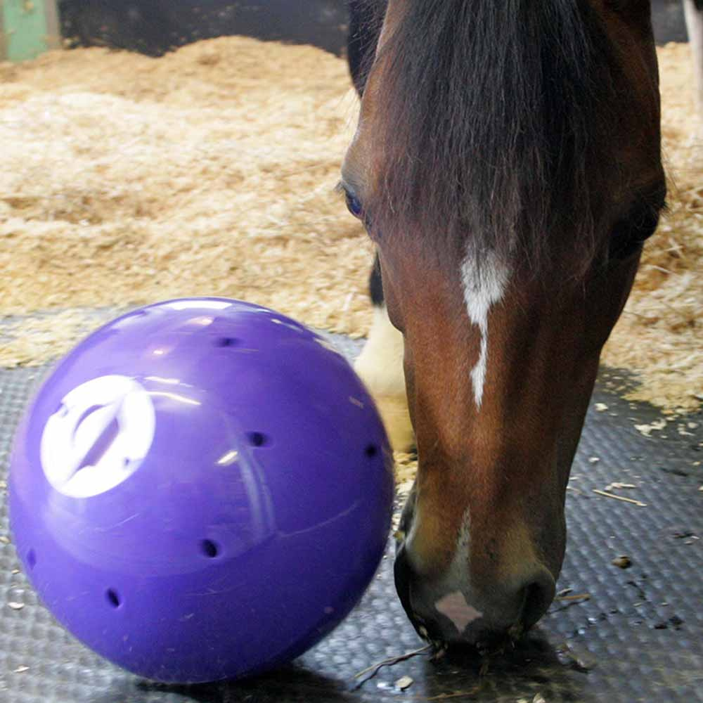 Feed Ball Snak-a-Ball Level 2 Purple