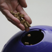 Feed Ball Snak-a-Ball Level 2 Purple Feed Ball Snak-a-Ball Level 2 Purple