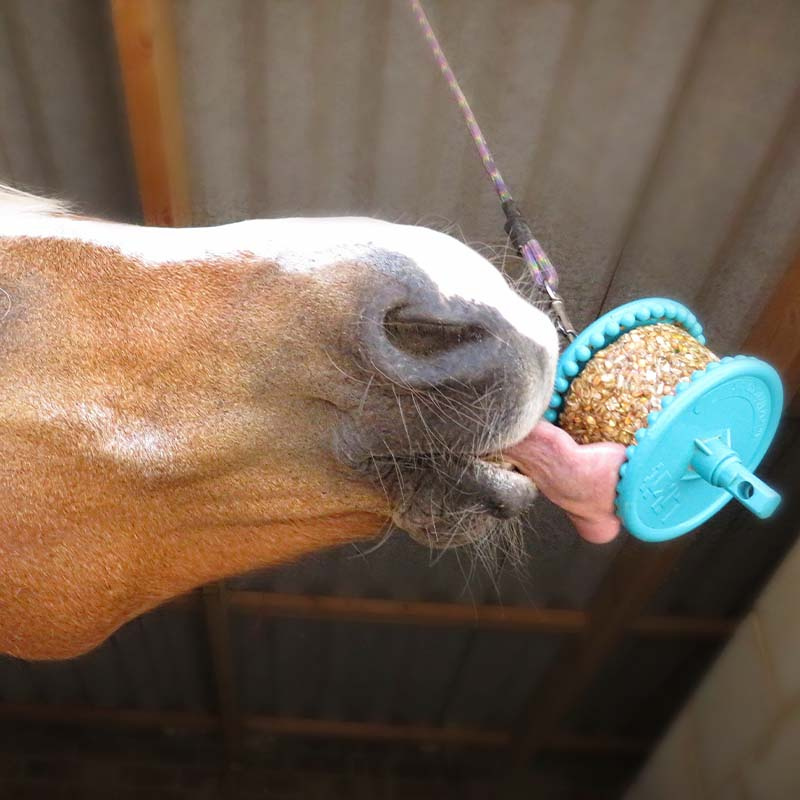 Starter Kit GranoLo Level 1 Transparent