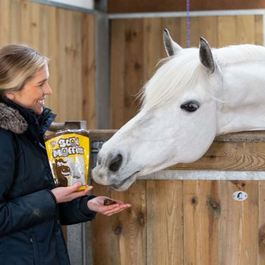 Horse Treats Stud Muffins 3 pcs