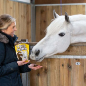 Horse Treats Stud Muffins 3 pcs Horse Treats Stud Muffins 3 pcs