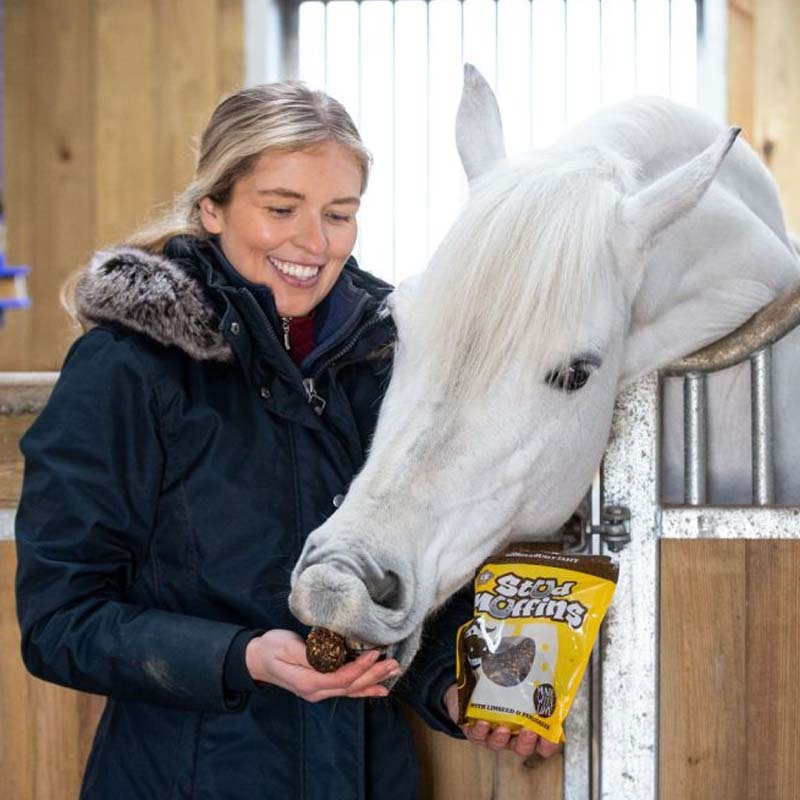 Horse Treats Stud Muffins 3 pcs