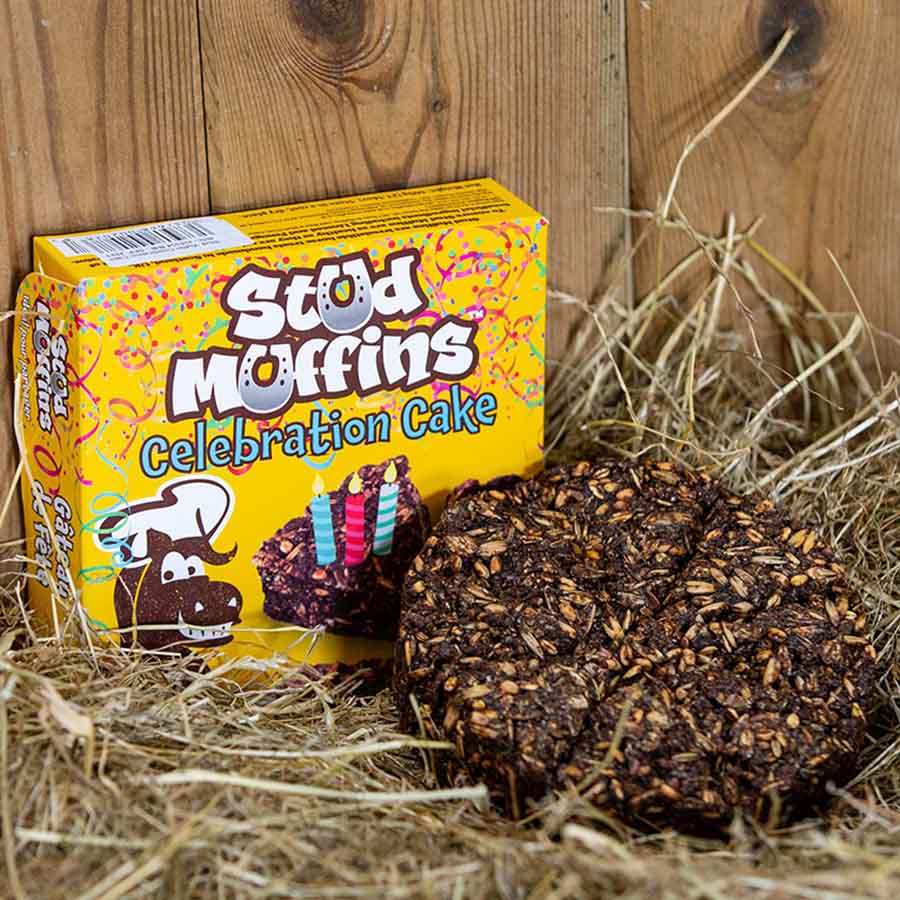 Horse Treat Stud Muffins Celebration Cake 600g