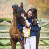 Horse Treats Stud Muffins Horse Treats Stud Muffins