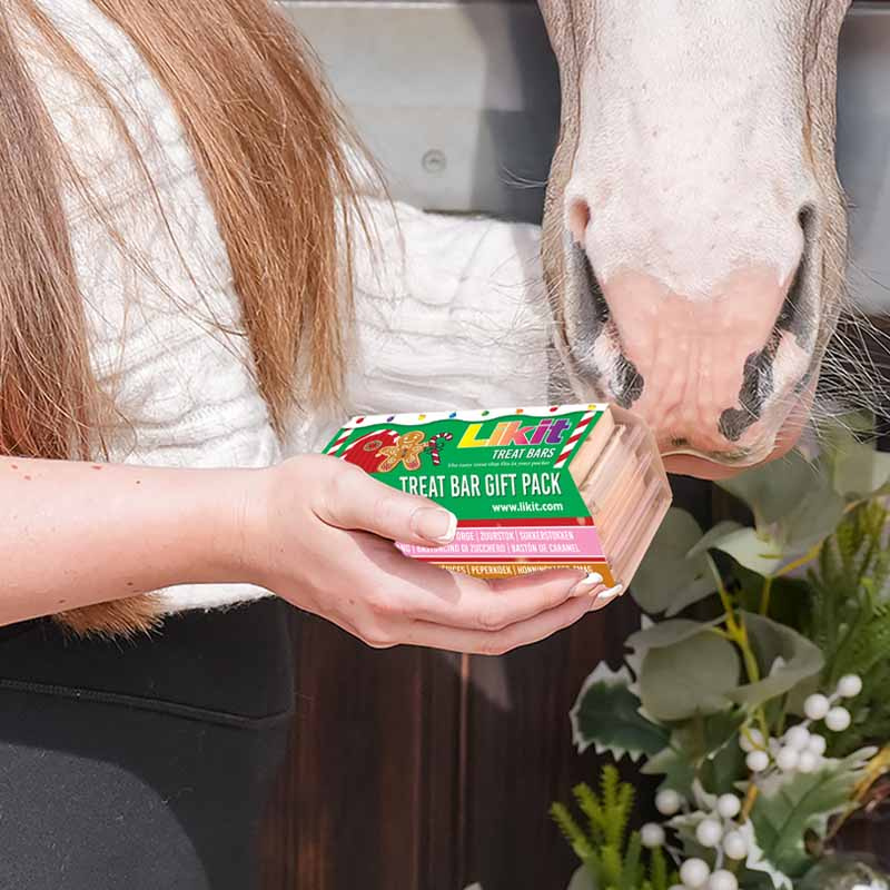 Horse Treats Treat Bars Gift Pack 4-pack 360g
