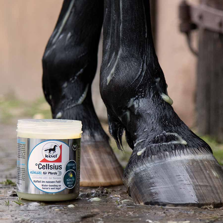 Cooling Gel Cellius 600ml