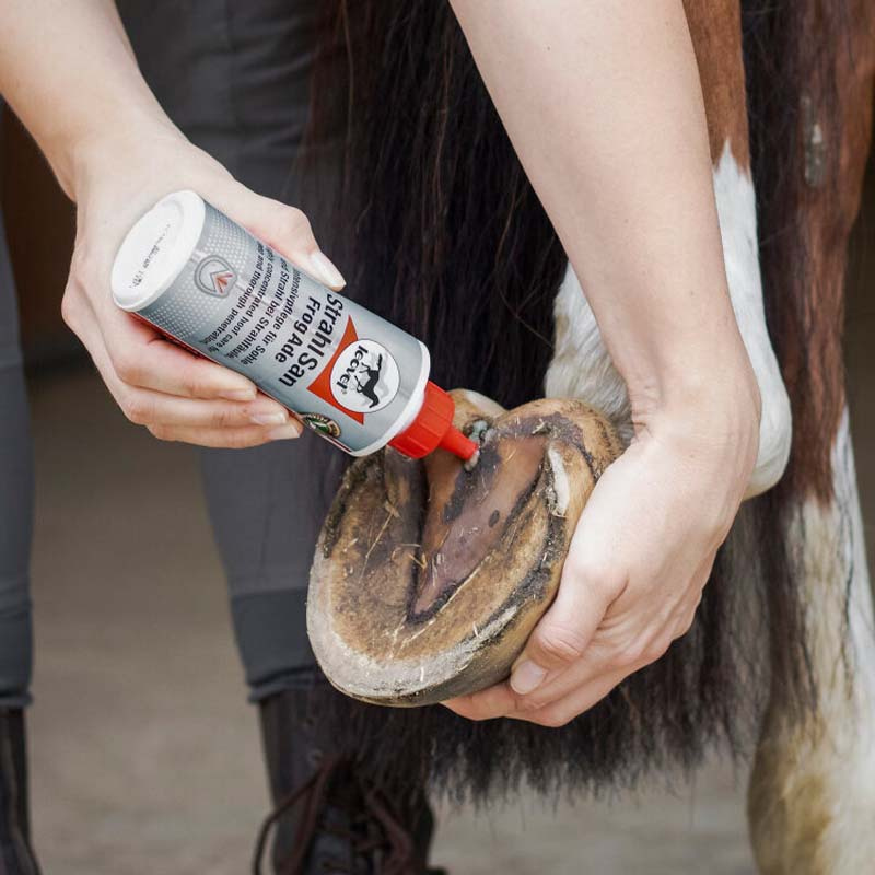 Frog Care Frogade with Brush 200ml