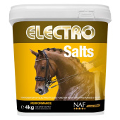 Electro Salter Electro Salter