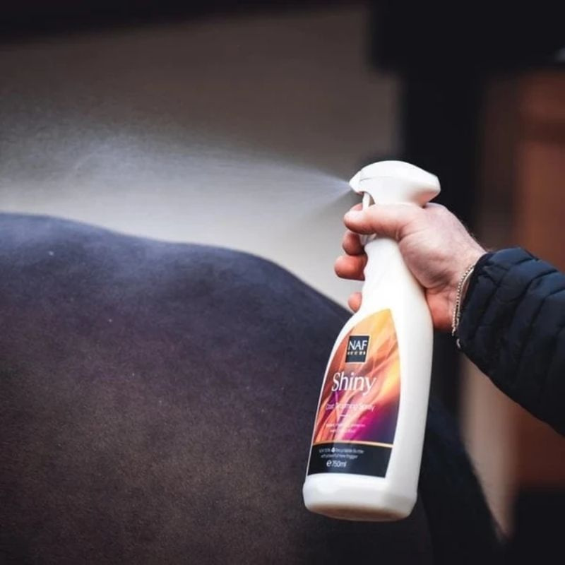 Coat Shine Shiny 750ml