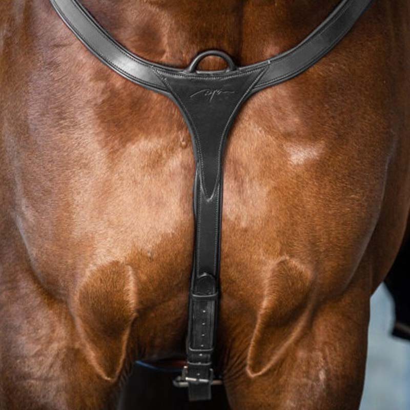 Short Martingale NE Black