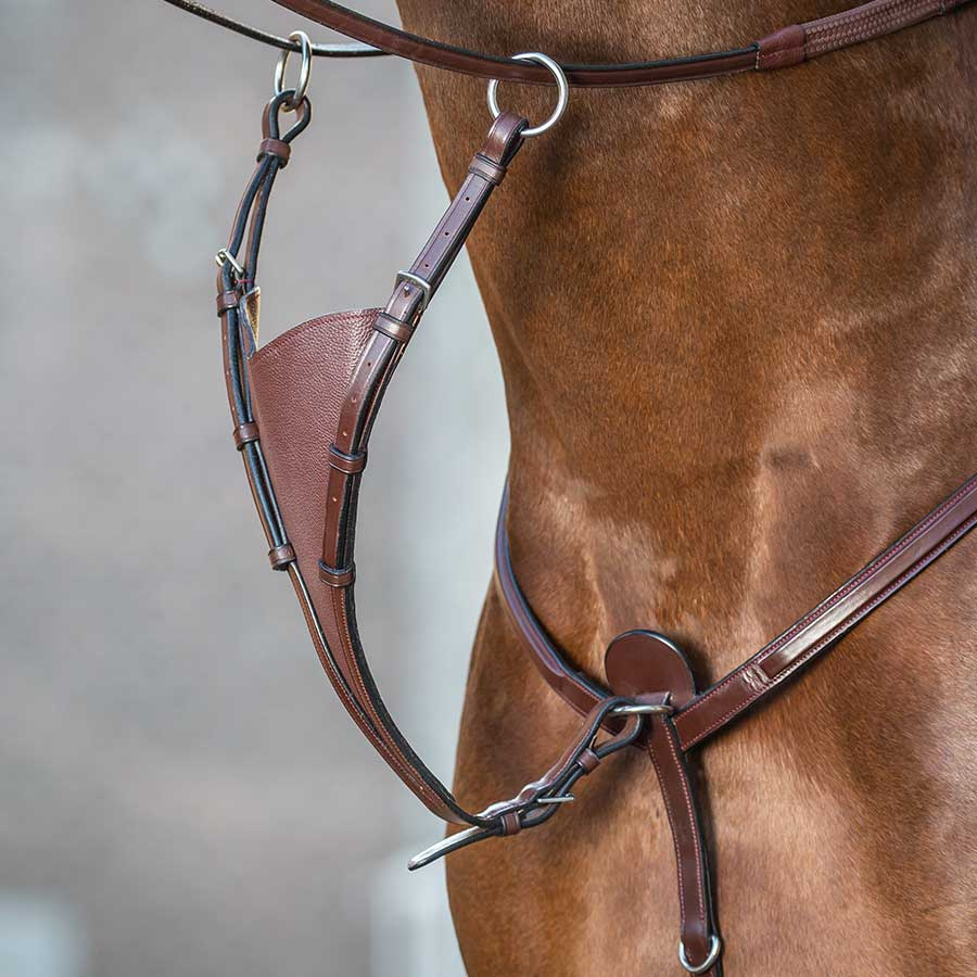 Raised Combination Bridle NE Brown