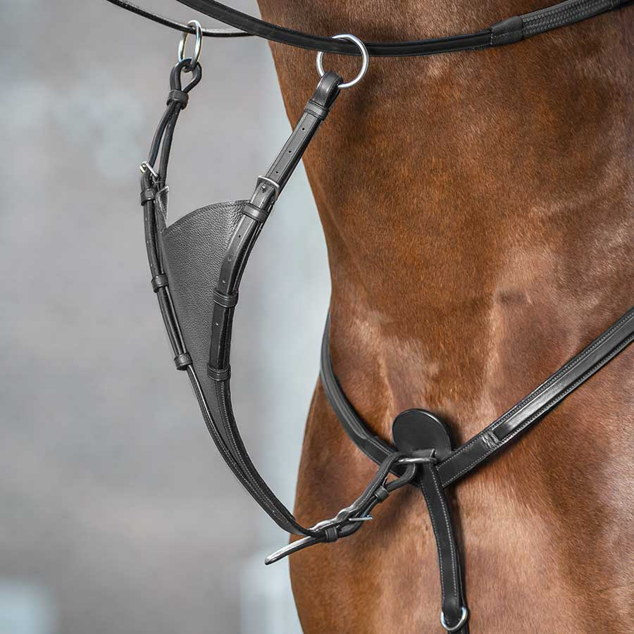 Raised Combination Bridle NE Black