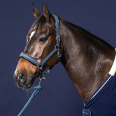 Halter Nubuck NEC Navy Blue Halter Nubuck NEC Navy Blue