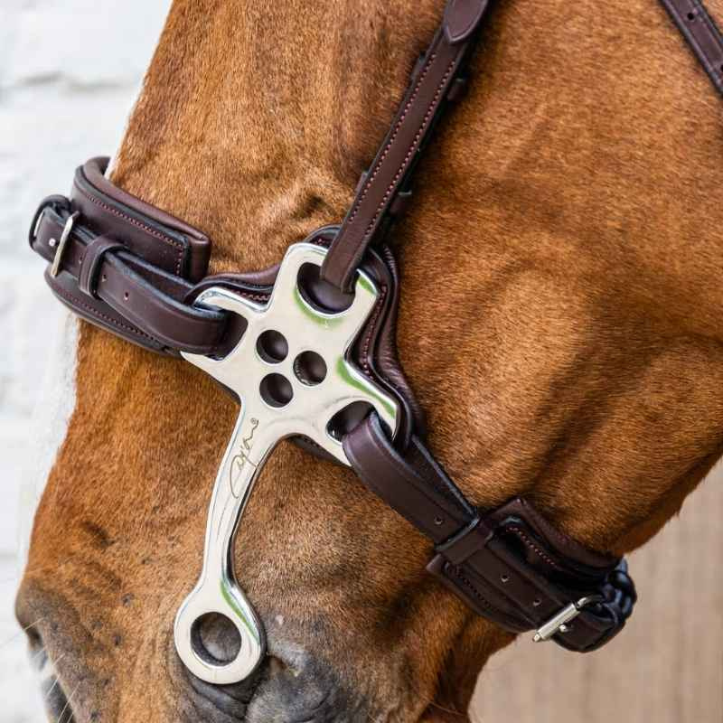 Hackamore New English Collection Brown