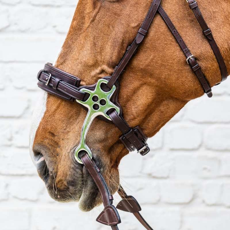 Hackamore New English Collection Brown