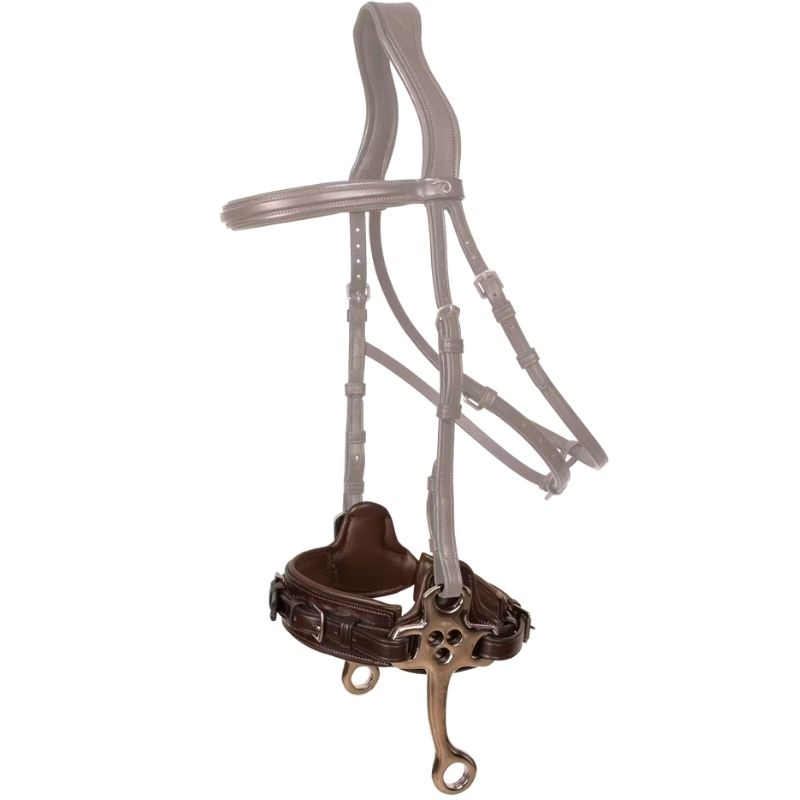Hackamore New English Collection Brown