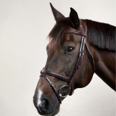 Anatomic Combination Bridle NE Brown Anatomic Combination Bridle NE Brown