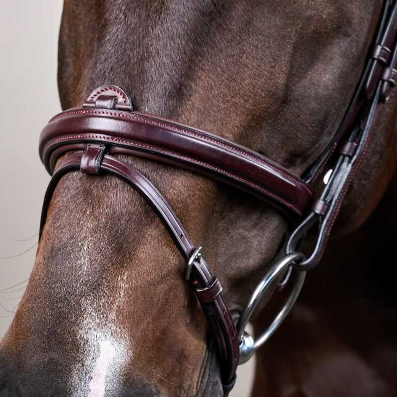 Anatomic Combination Bridle NE Brown