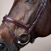 Anatomic Combination Bridle NE Brown Anatomic Combination Bridle NE Brown