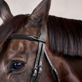 Anatomic Combination Bridle NE Black Anatomic Combination Bridle NE Black