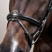 Anatomic Combination Bridle NE Black Anatomic Combination Bridle NE Black