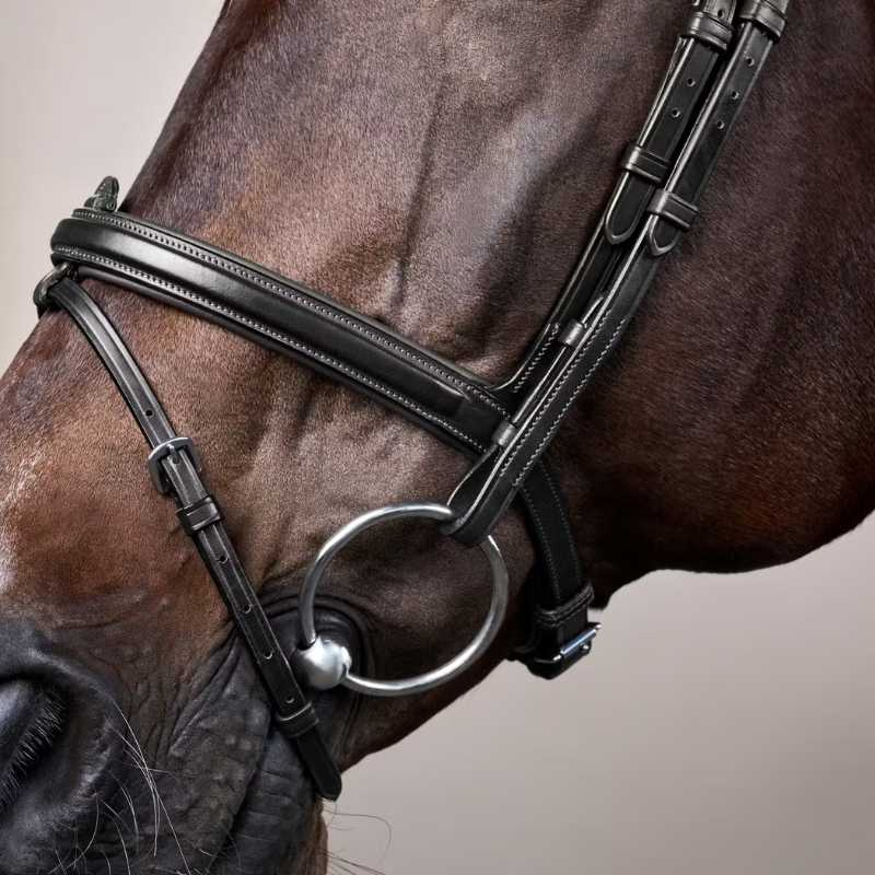 Anatomic Combination Bridle NE Black