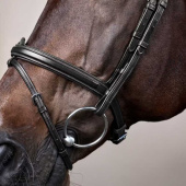 Anatomic Combination Bridle NE Black Anatomic Combination Bridle NE Black
