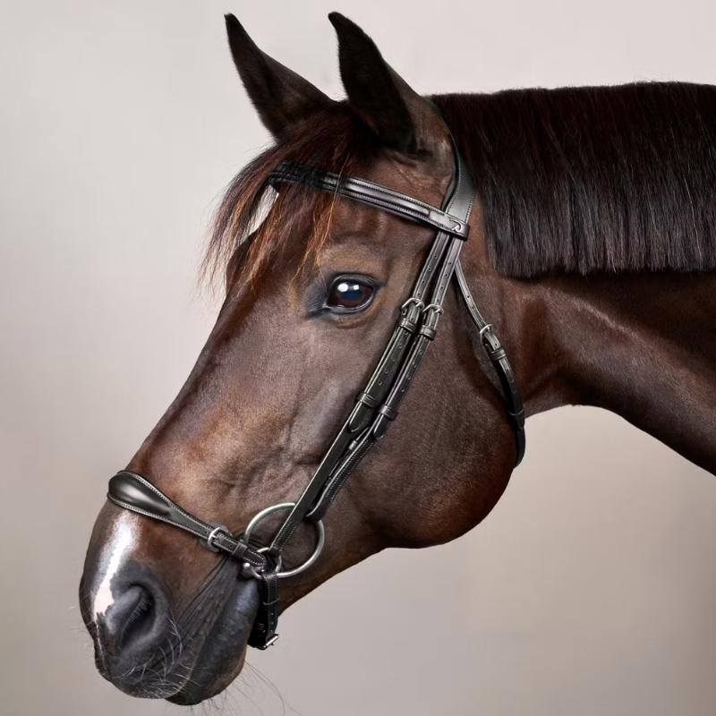 Adjustable Drop Noseband Bridle New English Collection Black