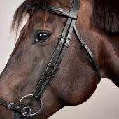 Adjustable Drop Noseband Bridle New English Collection Black Adjustable Drop Noseband Bridle New English Collection Black