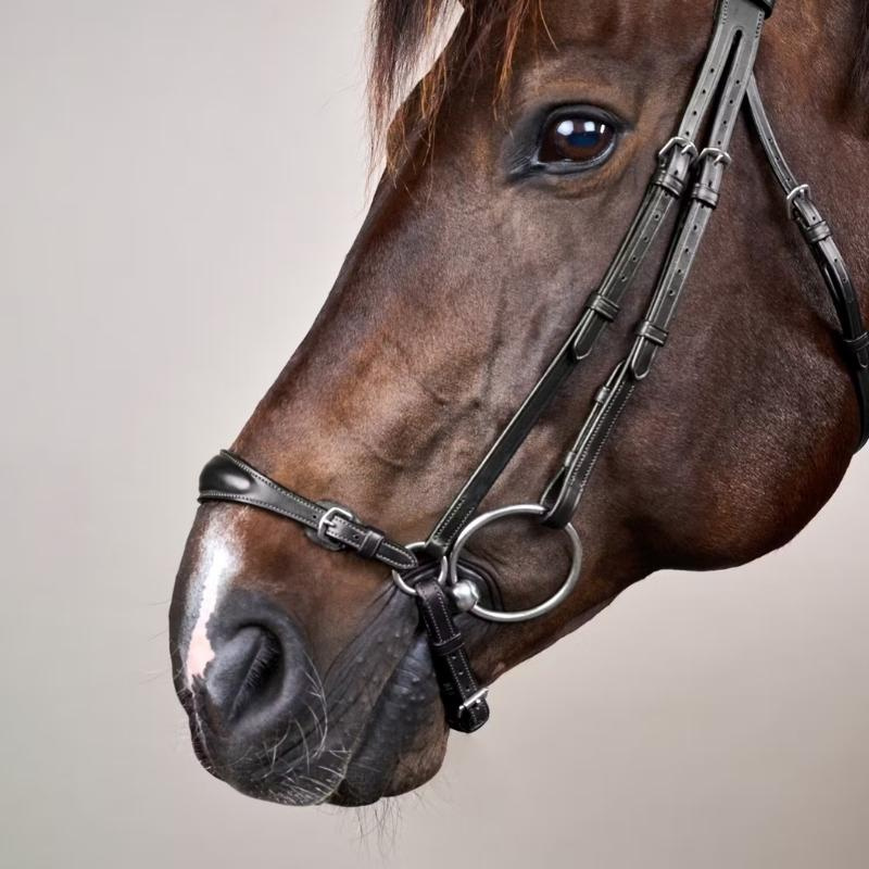Adjustable Drop Noseband Bridle New English Collection Black