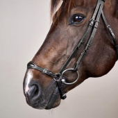 Adjustable Drop Noseband Bridle New English Collection Black Adjustable Drop Noseband Bridle New English Collection Black