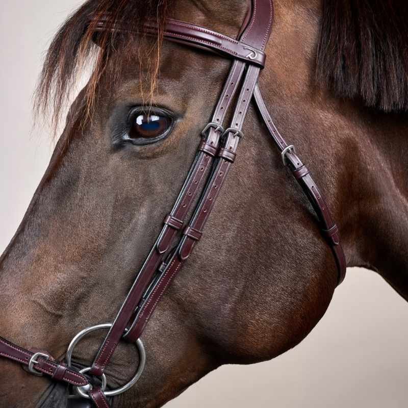 Adjustable Drop Noseband Bridle New English Collection Brown