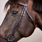 Adjustable Drop Noseband Bridle New English Collection Brown Adjustable Drop Noseband Bridle New English Collection Brown