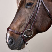 Adjustable Drop Noseband Bridle New English Collection Brown Adjustable Drop Noseband Bridle New English Collection Brown