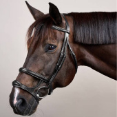 Double Noseband Bridle New English Collection Black Double Noseband Bridle New English Collection Black