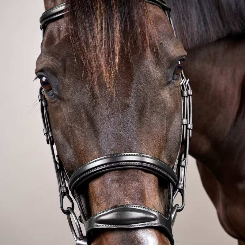 Double Noseband Bridle New English Collection Black