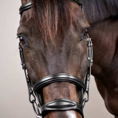 Double Noseband Bridle New English Collection Black Double Noseband Bridle New English Collection Black
