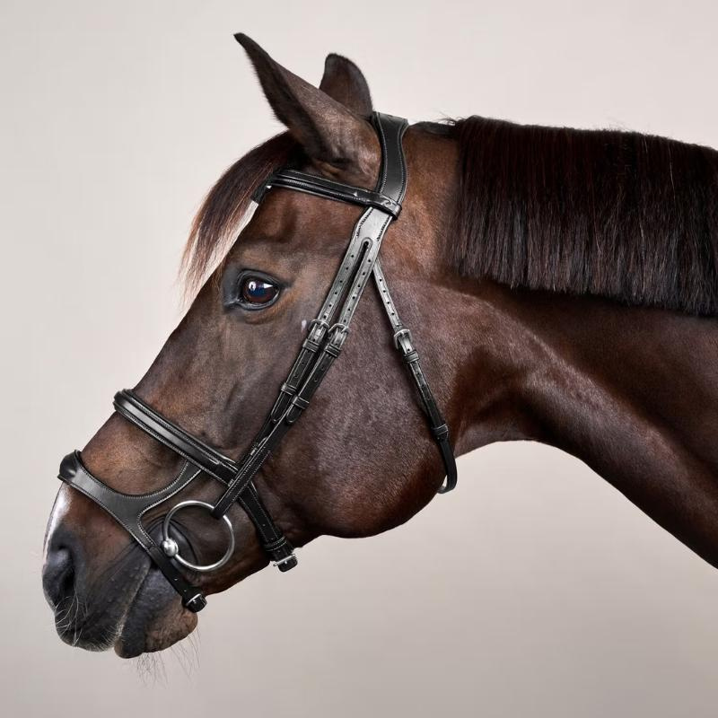 Double Noseband Bridle New English Collection Black