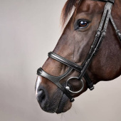 Double Noseband Bridle New English Collection Black Double Noseband Bridle New English Collection Black