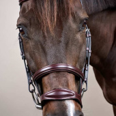 Double Noseband Bridle New English Collection Brown Double Noseband Bridle New English Collection Brown