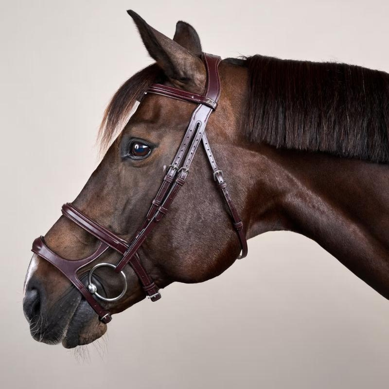 Double Noseband Bridle New English Collection Brown
