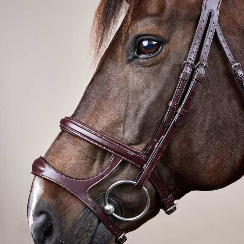Double Noseband Bridle New English Collection Brown