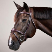 Anatomical Combination Bridle NE Brown Anatomical Combination Bridle NE Brown
