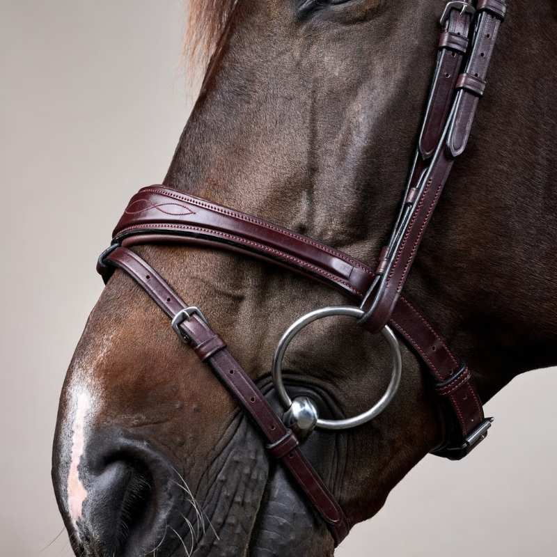 Anatomical Combination Bridle NE Brown