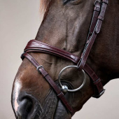 Anatomical Combination Bridle NE Brown Anatomical Combination Bridle NE Brown